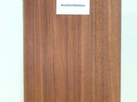 Nuirapiranga.jpg